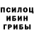 Галлюциногенные грибы мицелий Jevgenij Bogdasic