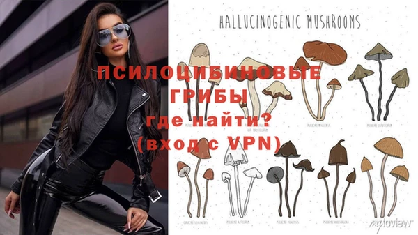 мяу мяу мука Богородицк