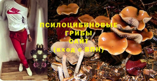 кокаин Богданович