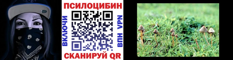 Псилоцибиновые грибы Cubensis  Верхний Тагил 